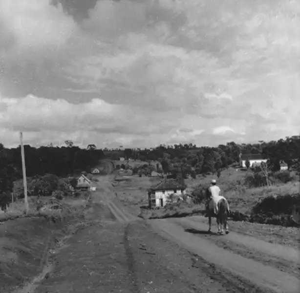 Foto 19: Vista da localidade Separação : município Dionísio Cerqueira (SC)