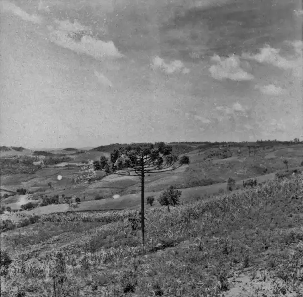 Foto 34: Arredores do município de Dionísio Cerqueira, vendo-se lavoura nas encostas : município de Dionísio Cerqueira
