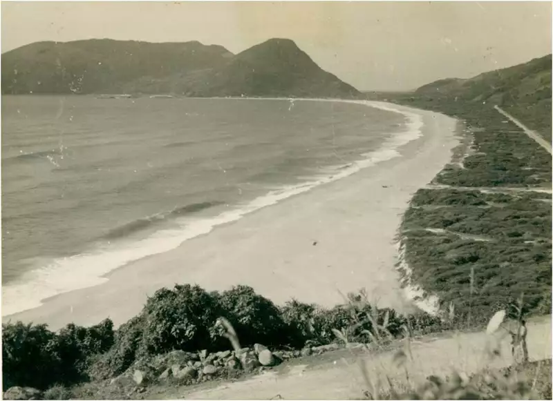 Foto 66: Praia da Armação : Florianópolis, SC