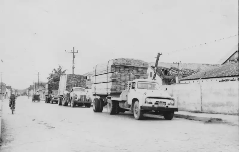 Foto 37: Caminhões carregados de madeira em Itajaí (SC)