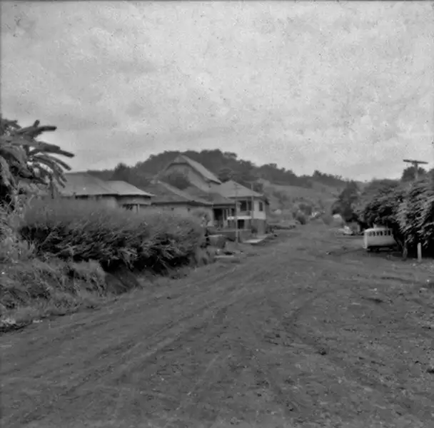 Foto 6: Casas de colonos em São João (SC)