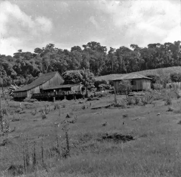 Foto 10: Casas de colono em São João (SC)