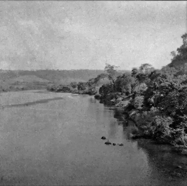 Foto 12: Vista da margem do Rio Chopotó, no município de São Carlos (SC)