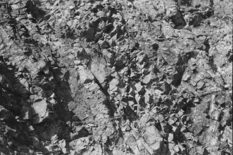 Foto 9: Rede de diaclase cortando o afloramento rochoso : Município de Águas da Prata (SP)