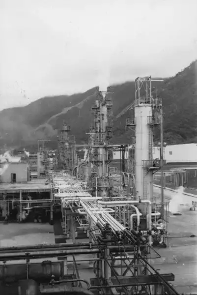 Foto 29: Vista do conjunto da refinaria de Cubatão : Município de Cubatão (SP)