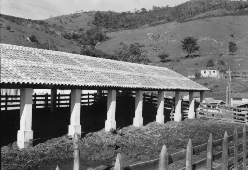 Foto 7: Curral de gado na fazenda São João da Barra Mansa : Município de Itapira (SP)