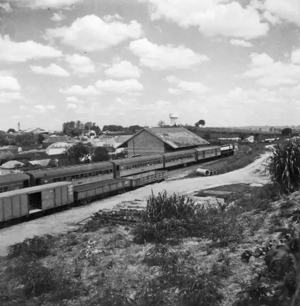 Foto 11: Comboio da Estrada de Ferro Sorocabana : Município de Presidente Bernardes (SP)