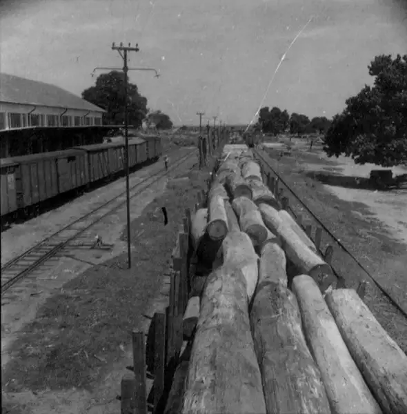Foto 9: Vagões carregados de madeira na estação de Presidente Epitácio (SP)