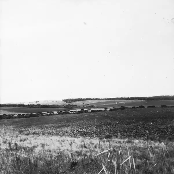 Foto 21: Superfície de campos : terra arada : Município de Registro : excursão à região sul, 1972 (SP)