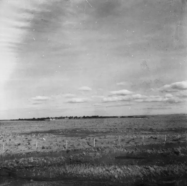 Foto 23: Superfície de campos : terra arada : Município de Registro : excursão à região sul, 1972 (SP)