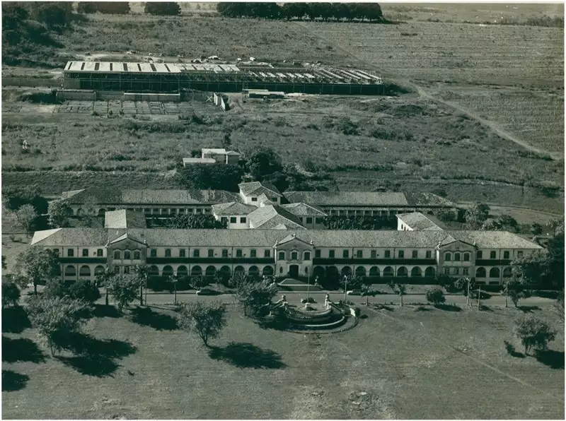 Foto 11: [Vista aérea do Campus da] Faculdade de Medicina : Ribeirão Preto, SP
