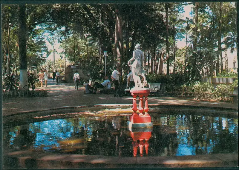 Foto 58: Jardim Público : Rio Claro, SP