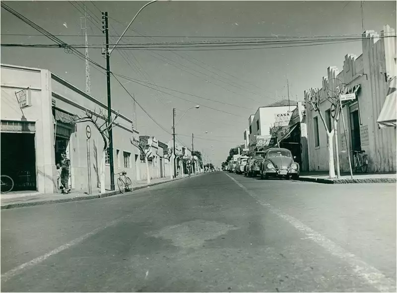 Foto 36: Rua Dona Margarida : Santa Bárbara d'Oeste (SP)