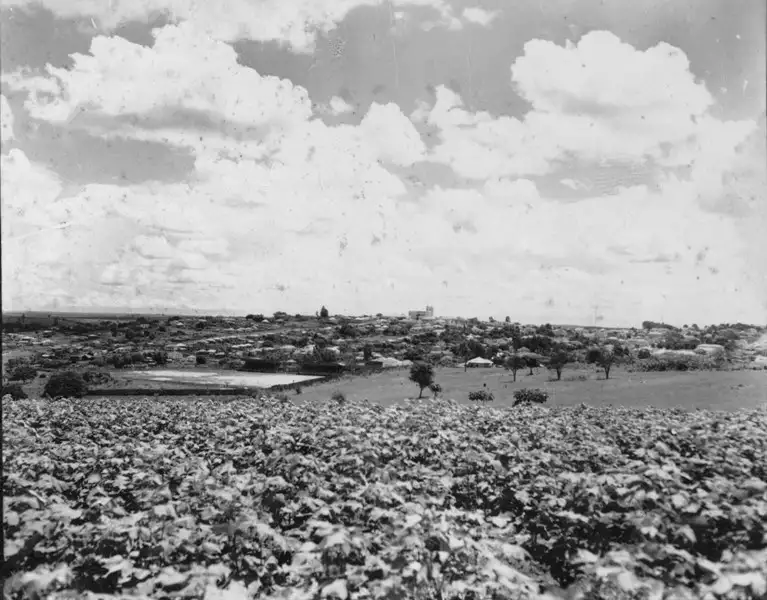 Foto 1: Vista da cidade de Santo Anastácio em direção noroeste (SP)