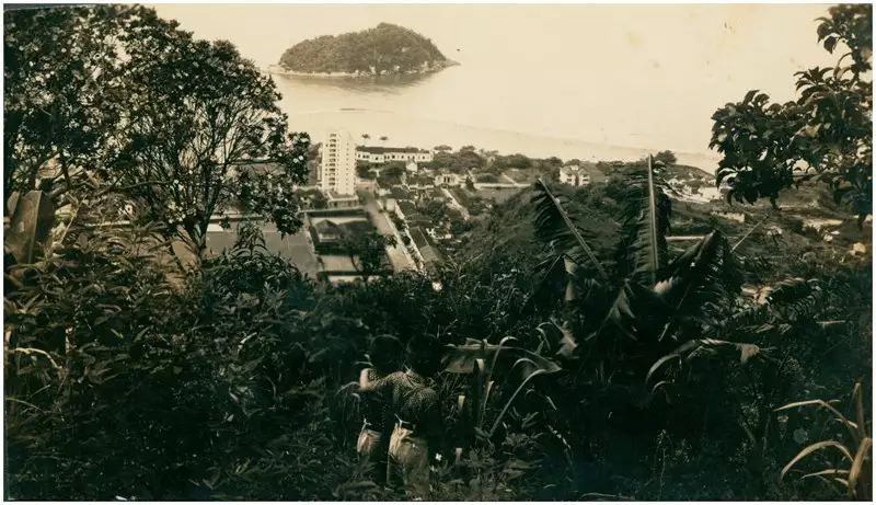 Foto 26: [Vista panorâmica da cidade] : [Ilha do Urubuqueçaba] : Santos, SP