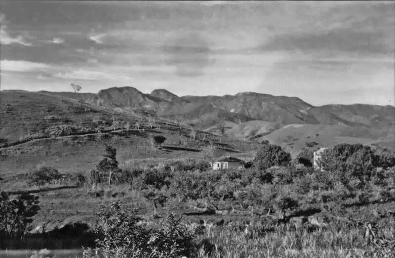 Foto 4: Município de São José do Barreiro : Aspectos do escarpamento da Serra da Bocaina (SP)