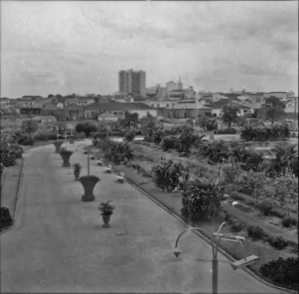 Foto 56: Vista do centro da cidade de São José do Rio Preto (SP)