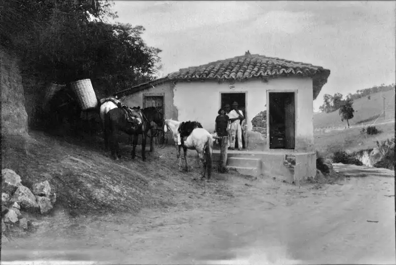 Foto 6: São Luís do Paraitinga : As vendas (casa de comestiveis) é um traço importante da paisagem rural de qualquer região. É aí que o cabloco faz o seu aprovisionamento : Em frente a venda, eles amarram os animais (SP)