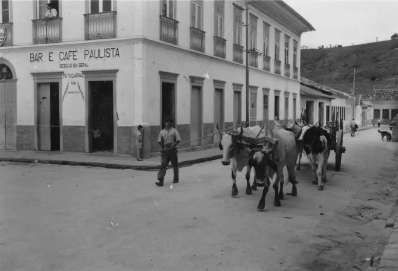 Foto 19: Carro de boi em São Luis do Paraitinga (SP)