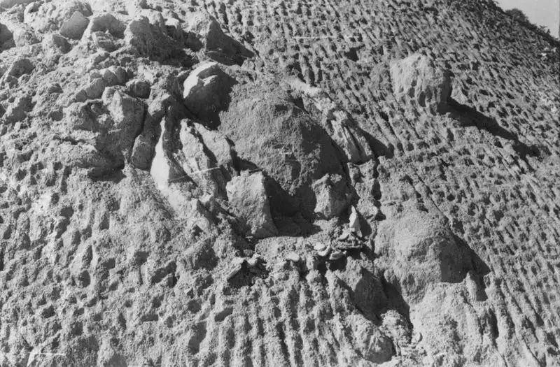 Foto 11: Bloco de granito decomposto na arena : vê-se na foto as cascas : textura de granito grosseira (SP)
