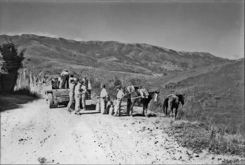 Foto 2: Município de Silveiras, o leite é trazido por animais, até a beira da estrada onde o caminhão passa e o apanha. Ao fundo a Serra da Bocaina (SP)