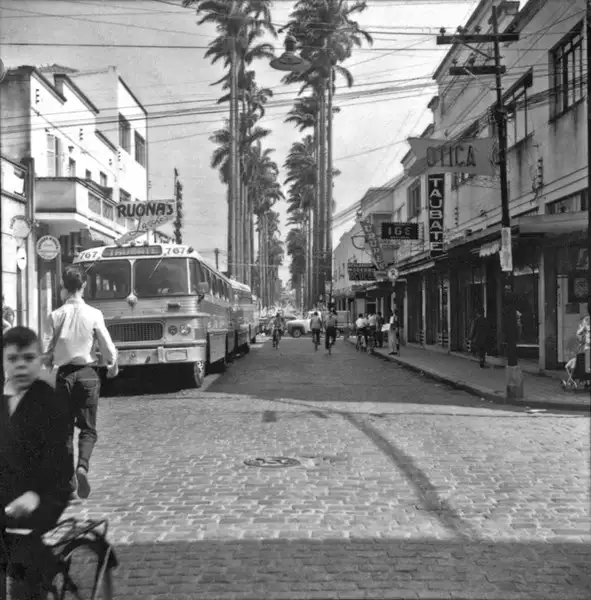 Foto 28: Rua central da cidade de Taubaté (SP)