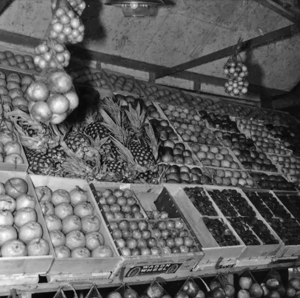 Foto 2: Mostruário de frutas em Louveira : Município de Vinhedo (SP)